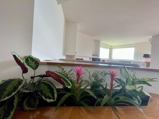 Casa Caponetti Villa Costa Volpino Eksteriør billede